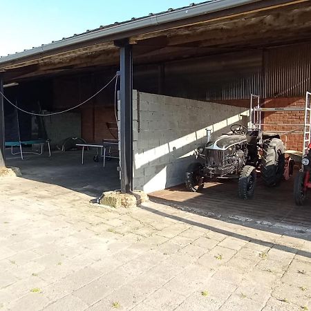 Natuur-Like Glamping In Bosland NeerNeerpelt Esterno foto