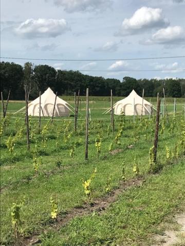 Natuur-Like Glamping In Bosland NeerNeerpelt Esterno foto