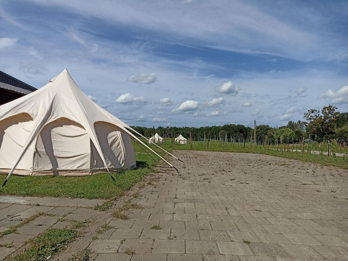 Natuur-Like Glamping In Bosland NeerNeerpelt Esterno foto