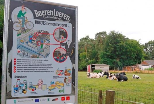 Natuur-Like Glamping In Bosland NeerNeerpelt Esterno foto
