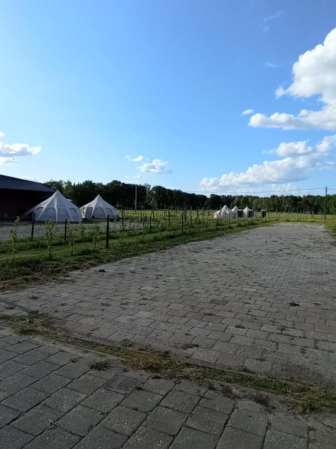 Natuur-Like Glamping In Bosland NeerNeerpelt Esterno foto